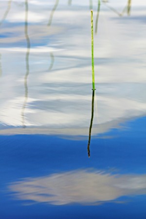 Clouds In The Water Abstract